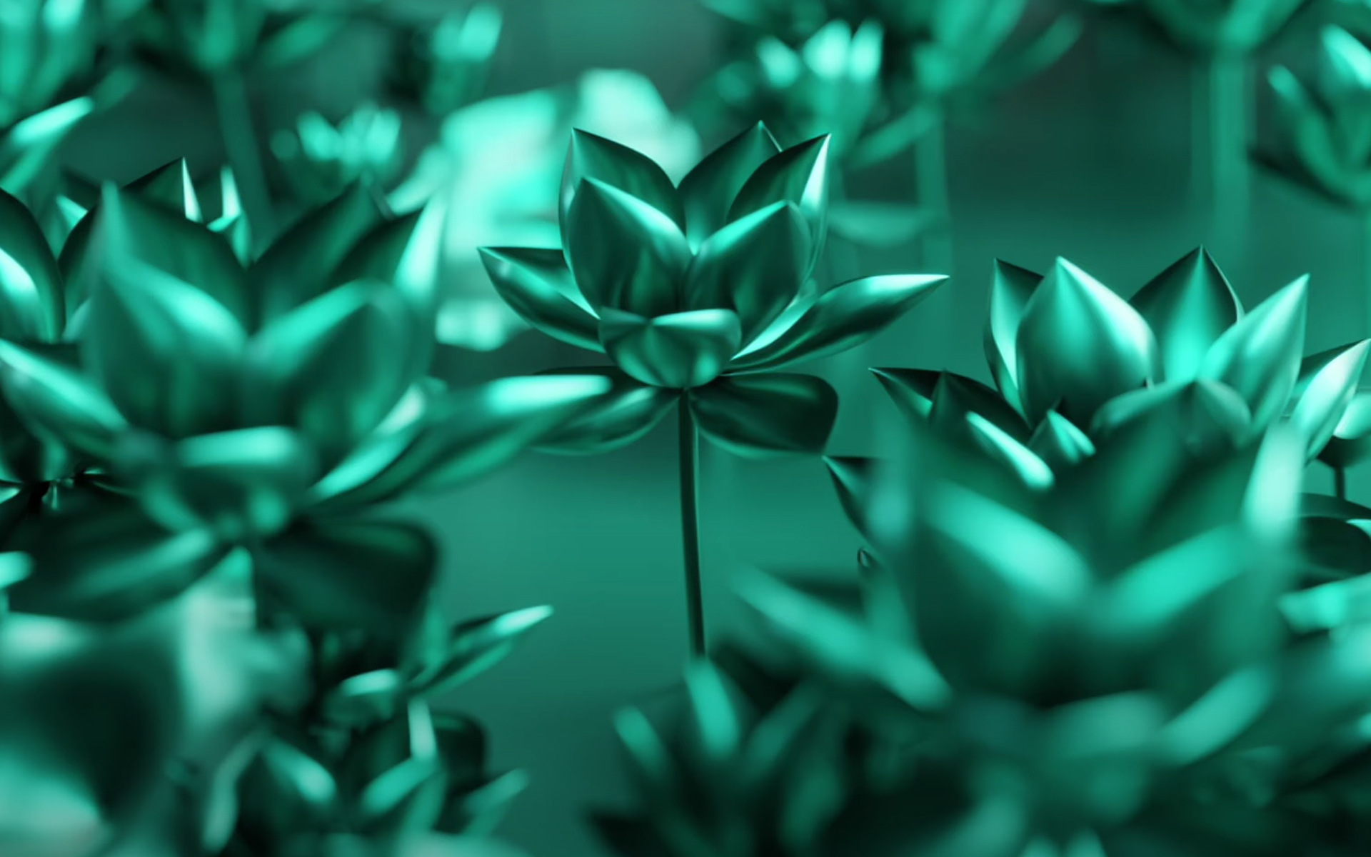 GreenX-Autóápolás